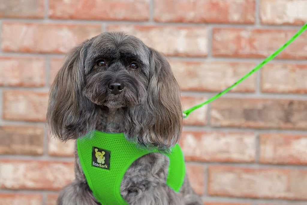 EcoBark Dog Harness Large Green – No Pull No Choke Vest with Recycled Straps