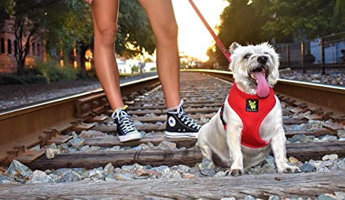 EcoBark Medium Red Dog Harness - Eco-Friendly No Pull Vest for Small Dogs 10-17 lbs