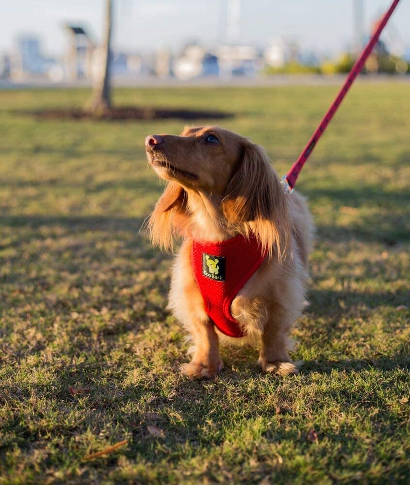 EcoBark Medium Red Dog Harness - Eco-Friendly No Pull Vest for Small Dogs 10-17 lbs