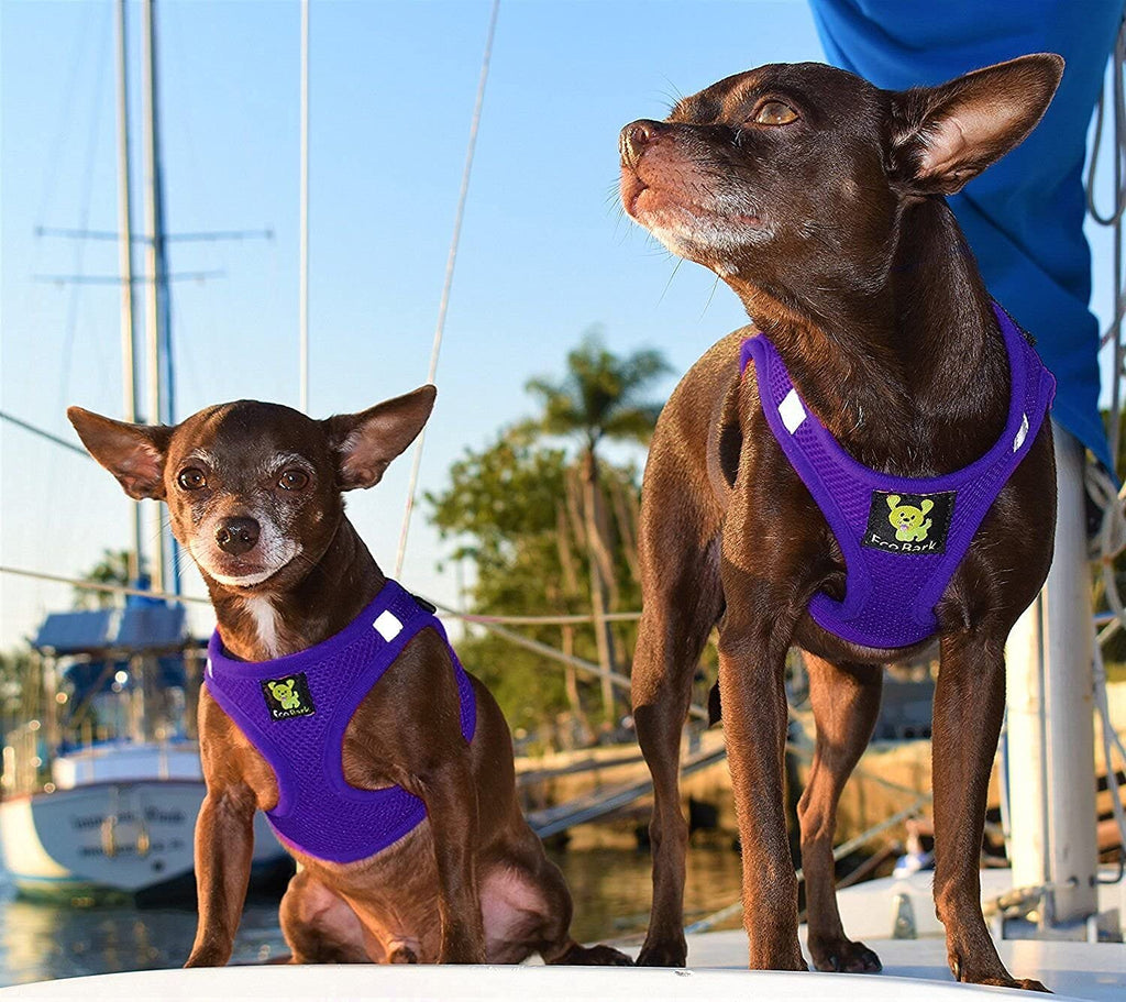 EcoBark Purple Medium Step-In Dog Harness for Small Dogs - Eco-Friendly Reflective Mesh