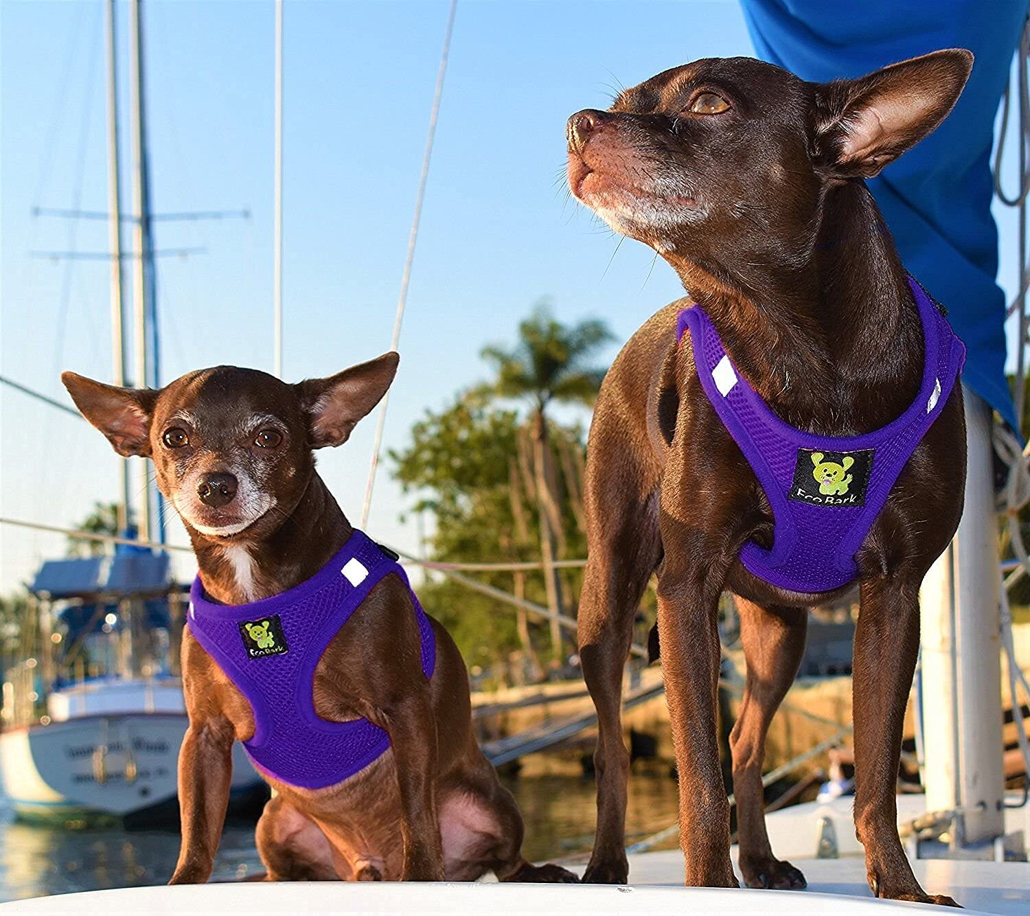 EcoBark Purple Medium Step-In Dog Harness for Small Dogs - Eco-Friendly Reflective Mesh