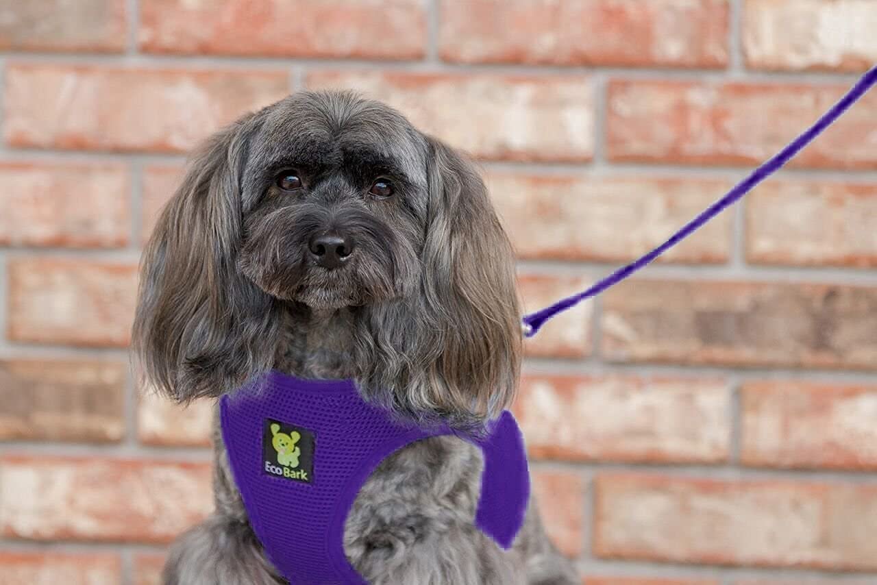 EcoBark Purple Medium Step-In Dog Harness for Small Dogs - Eco-Friendly Reflective Mesh