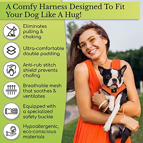 EcoBark Small Dog Harness - Soft Mesh, No-Pull, Eco-Friendly, Fits 6-9 lbs (Nautical Blue)