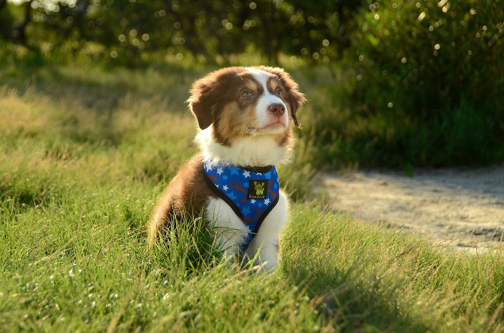 EcoBark Small Dog Harness - Soft Mesh, No-Pull, Eco-Friendly, Fits 6-9 lbs (Nautical Blue)