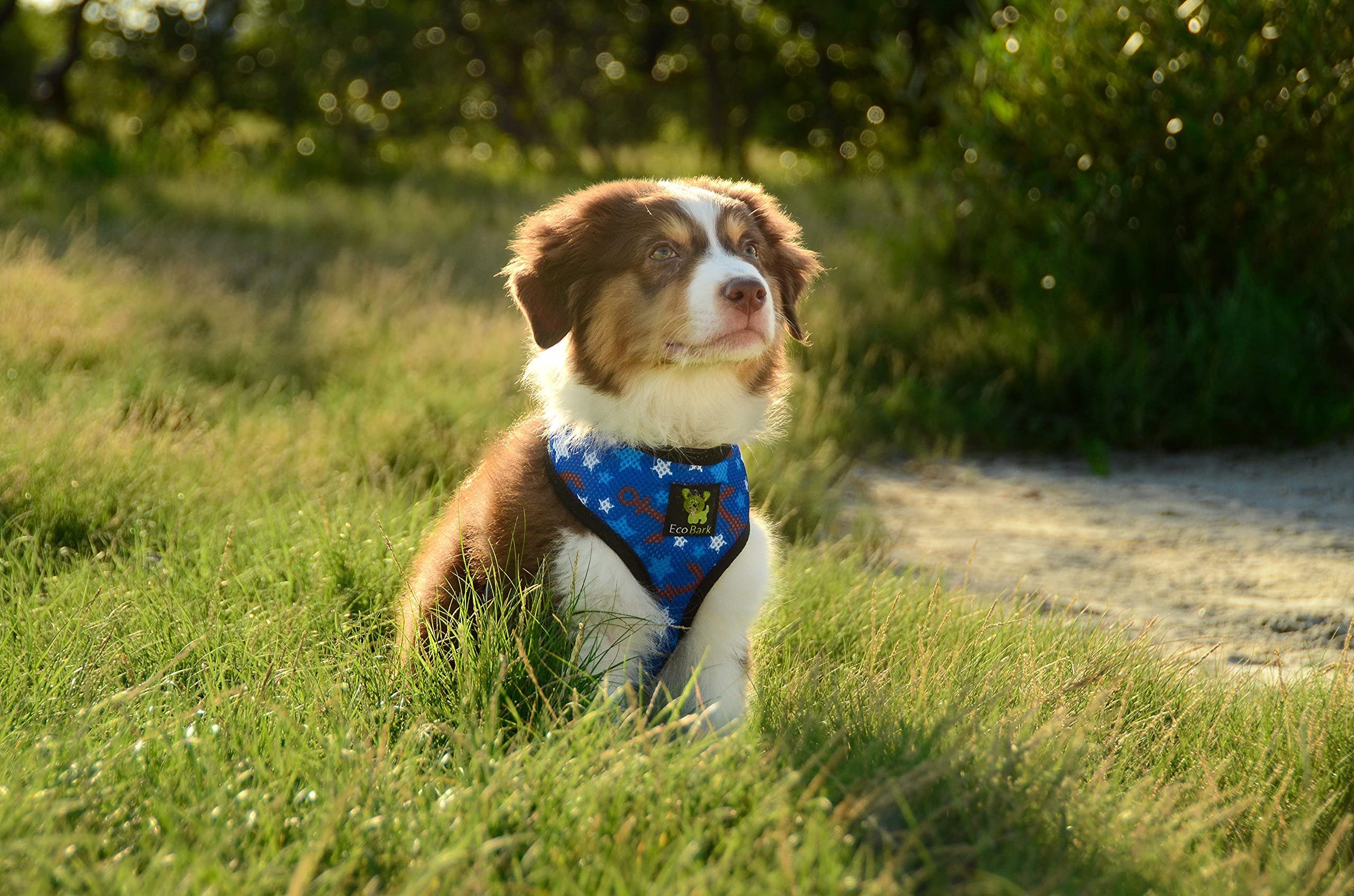 EcoBark Small Dog Harness - Soft Mesh, No-Pull, Eco-Friendly, Fits 6-9 lbs (Nautical Blue)