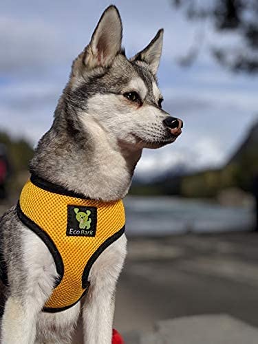 EcoBark Small Dog Harness - Yellow, Eco-Friendly Soft Mesh No-Pull Vest for 6-9 lbs Puppies