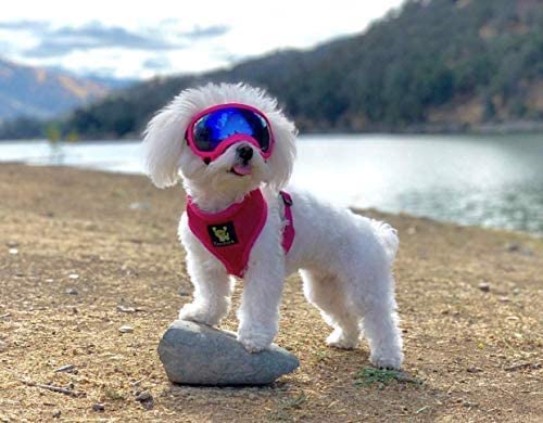 EcoBark Small Pink Dog Harness - Breathable Mesh Vest for Toy Breeds & Puppies