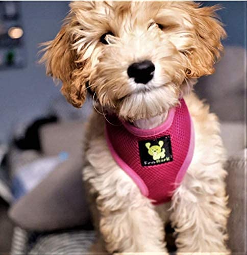 EcoBark Small Pink Dog Harness - Breathable Mesh Vest for Toy Breeds & Puppies