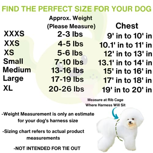 EcoBark Step in Dog Harness XXS Aqua Sport – Breathable Trinity Air Mesh for Teacup Dogs