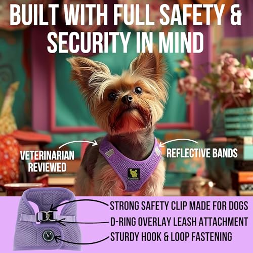 EcoBark Teacup Dog Harness - XXS Lavender Step-In Vest for Tiny Breeds