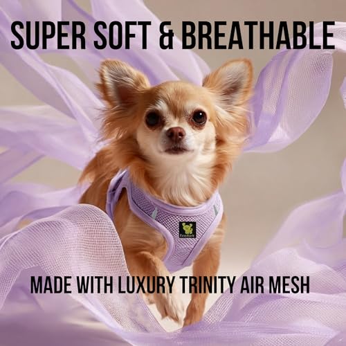 EcoBark Teacup Dog Harness - XXS Lavender Step-In Vest for Tiny Breeds