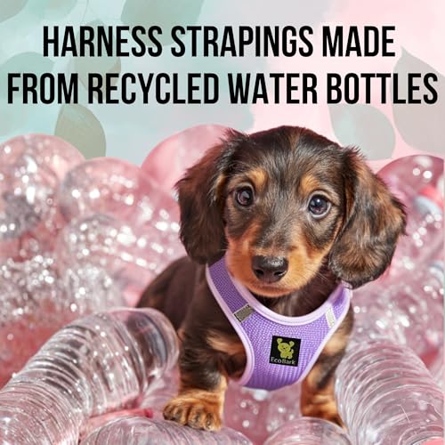 EcoBark Teacup Dog Harness - XXS Lavender Step-In Vest for Tiny Breeds