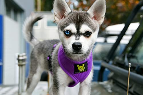 EcoBark XS Dog Harness for Tiny Dogs - Purple, No Pull, Eco-Friendly Vest Harness