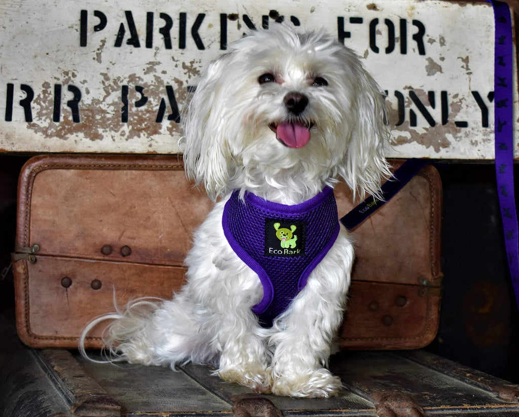 EcoBark XS Dog Harness for Tiny Dogs - Purple, No Pull, Eco-Friendly Vest Harness