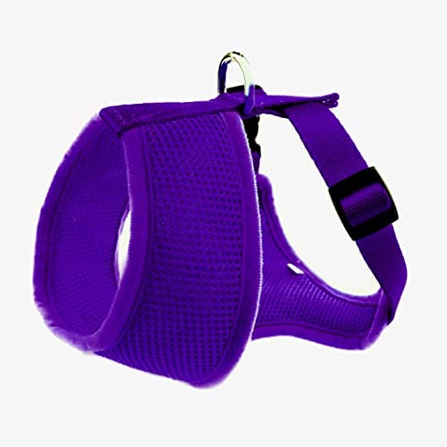 EcoBark XS Dog Harness for Tiny Dogs - Purple, No Pull, Eco-Friendly Vest Harness