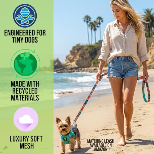 EcoBark XS Dog Harness – No-Pull Step-In Vest for Small Dogs 5–6 lbs (Mint Turquoise)