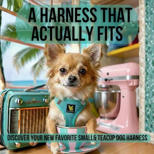 EcoBark XS Dog Harness – No-Pull Step-In Vest for Small Dogs 5–6 lbs (Mint Turquoise)
