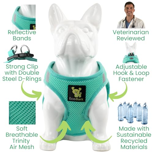 EcoBark XS Dog Harness – No-Pull Step-In Vest for Small Dogs 5–6 lbs (Mint Turquoise)