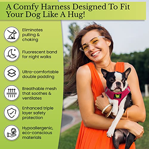 EcoBark XS Dog Harness – No-Pull Step-In Vest for Small Dogs 5–6 lbs (Mint Turquoise)