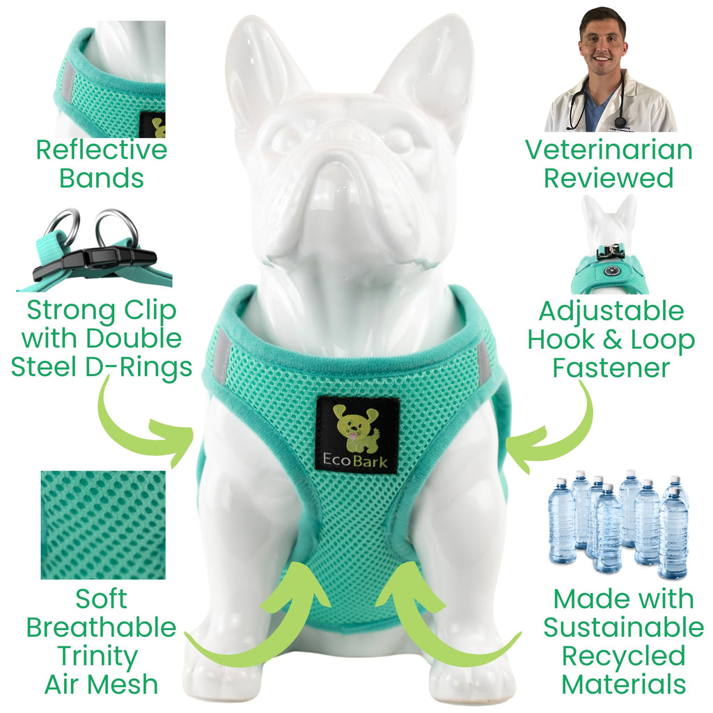 EcoBark XS Dog Harness – No-Pull Step-In Vest for Small Dogs 5–6 lbs (Mint Turquoise)
