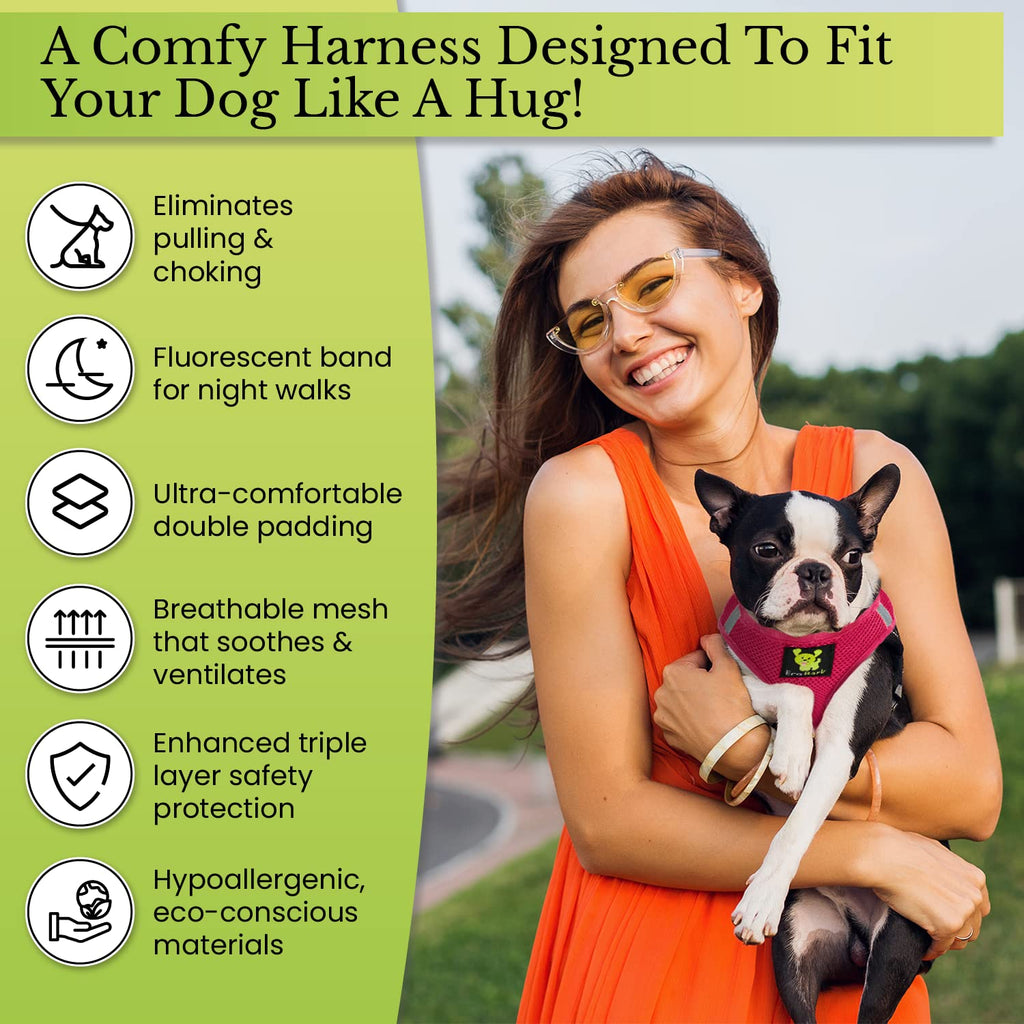 EcoBark XS Dog Harness – No-Pull Step-In Vest for Small Dogs 5–6 lbs (Mint Turquoise)