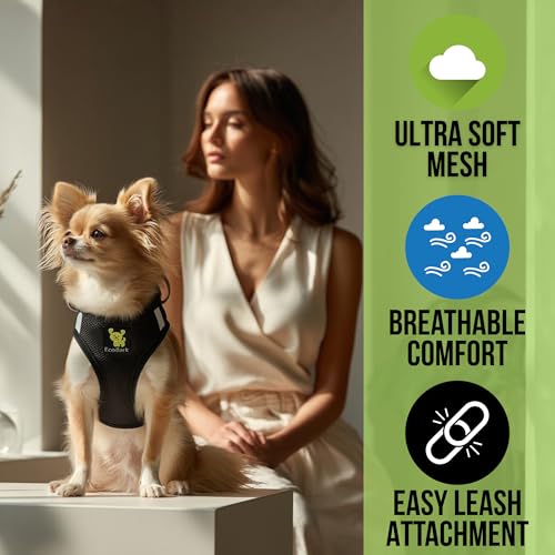 EcoBark XXXS Step-in Dog Harness for Teacup Dogs - Black, Reflective, Eco-Friendly