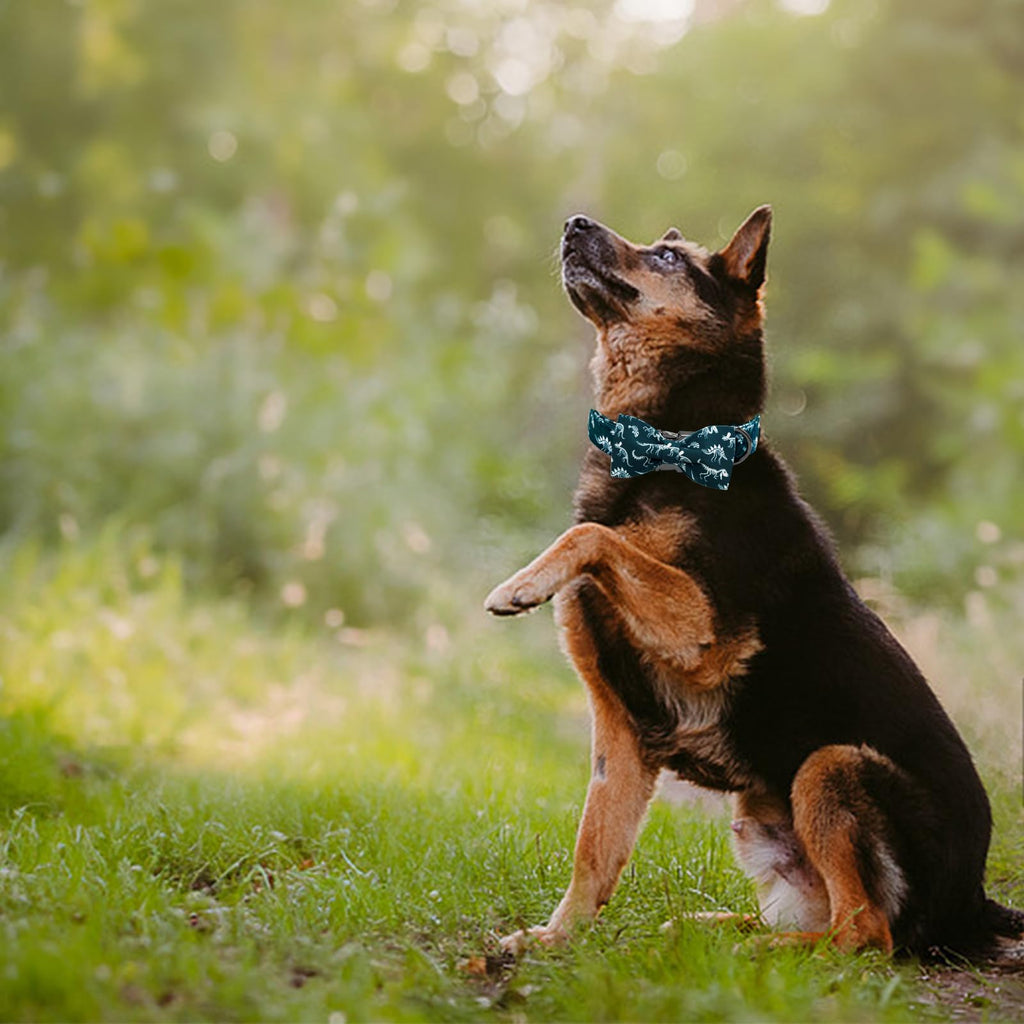 Elegant little tail Dog Collar with Bowtie - Dinosaurs Print, Adjustable Blue Bow, Size L for Large Dogs