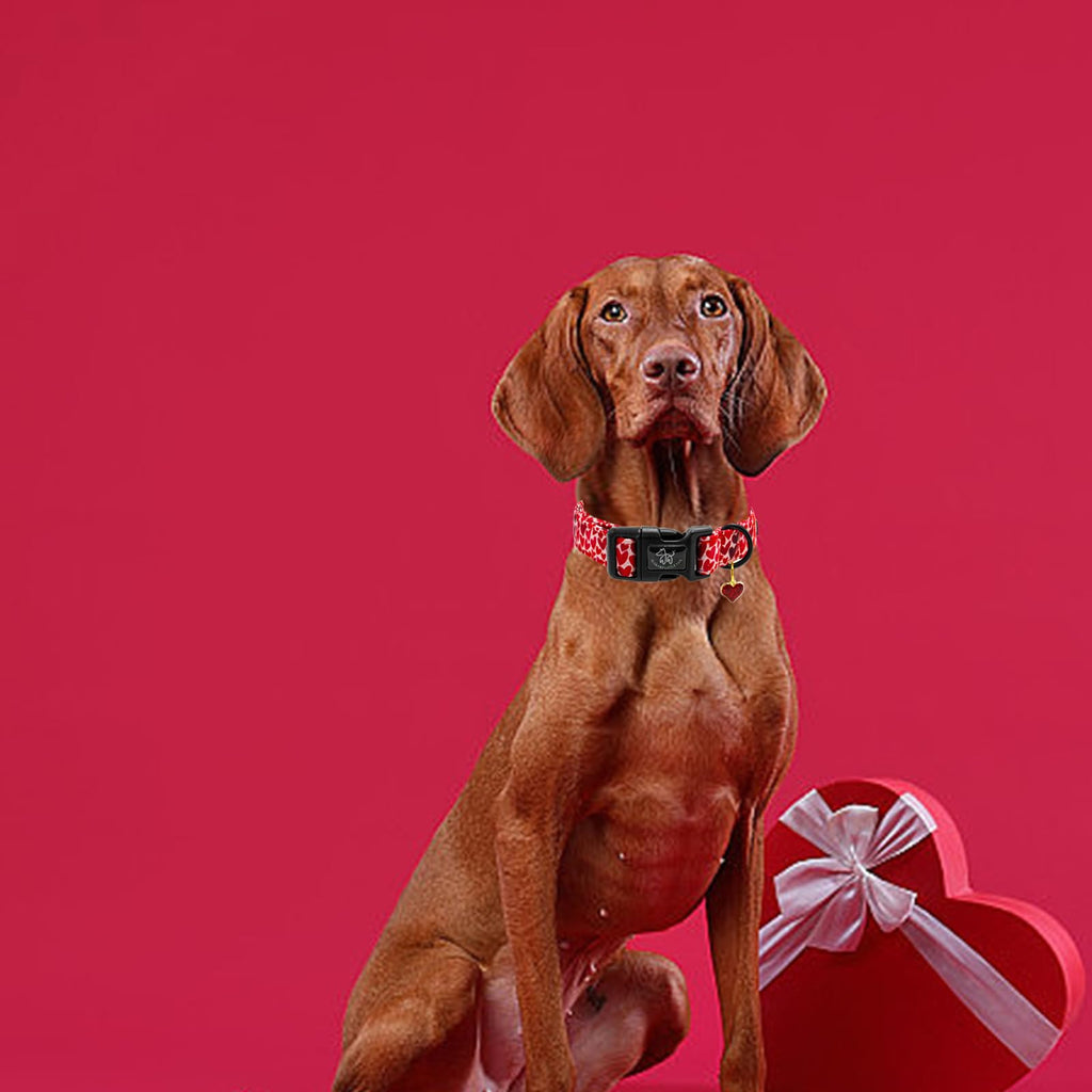 Elegant little tail Valentine's Dog Collar - Red Heart, Adjustable Cotton with Quick Release Buckle for Small, Medium, Large Dogs
