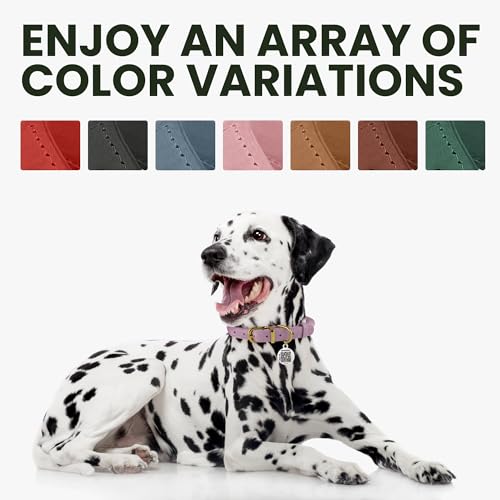 Emerald Green Rolled Leather Dog Collar by BronzeDog – 16-19 Inch Neck, Waxed Leather, Anti-Tangle for Long-Haired Dogs