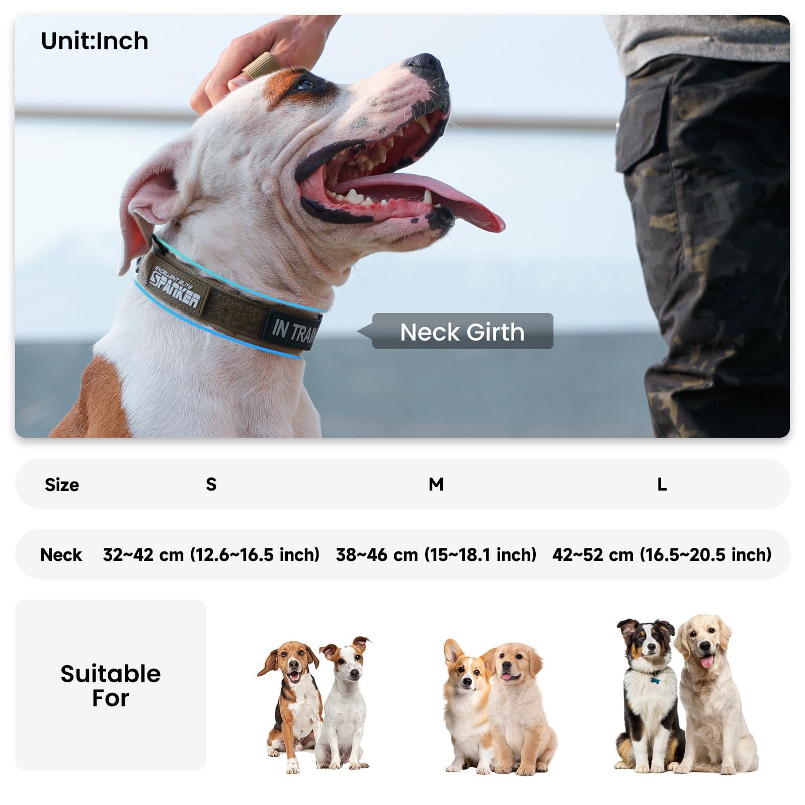 EXCELLENT ELITE SPANKER Tactical Dog Collar - Adjustable Nylon with Padded Lining, Heavy Duty Military Style for Small to Large Dogs (Grey, Large)