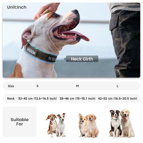 EXCELLENT ELITE SPANKER Tactical Dog Collar - Adjustable Nylon with Padded Lining, Heavy Duty Military Style for Small to Large Dogs (Grey, Large)