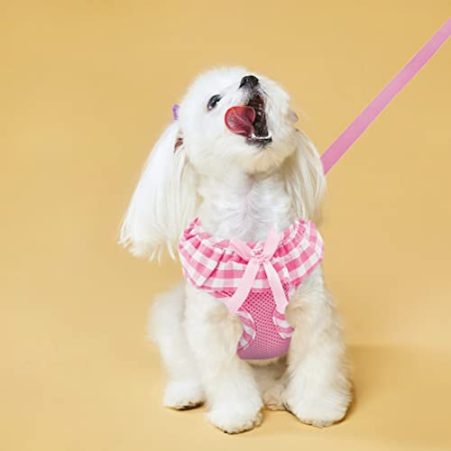 EXPAWLORER Small Pink Checkered Dog Harness and Leash Set for Small Dogs Puppies, Step-in Vest with Ribbon, No-Choke Adjustable, Machine Washable