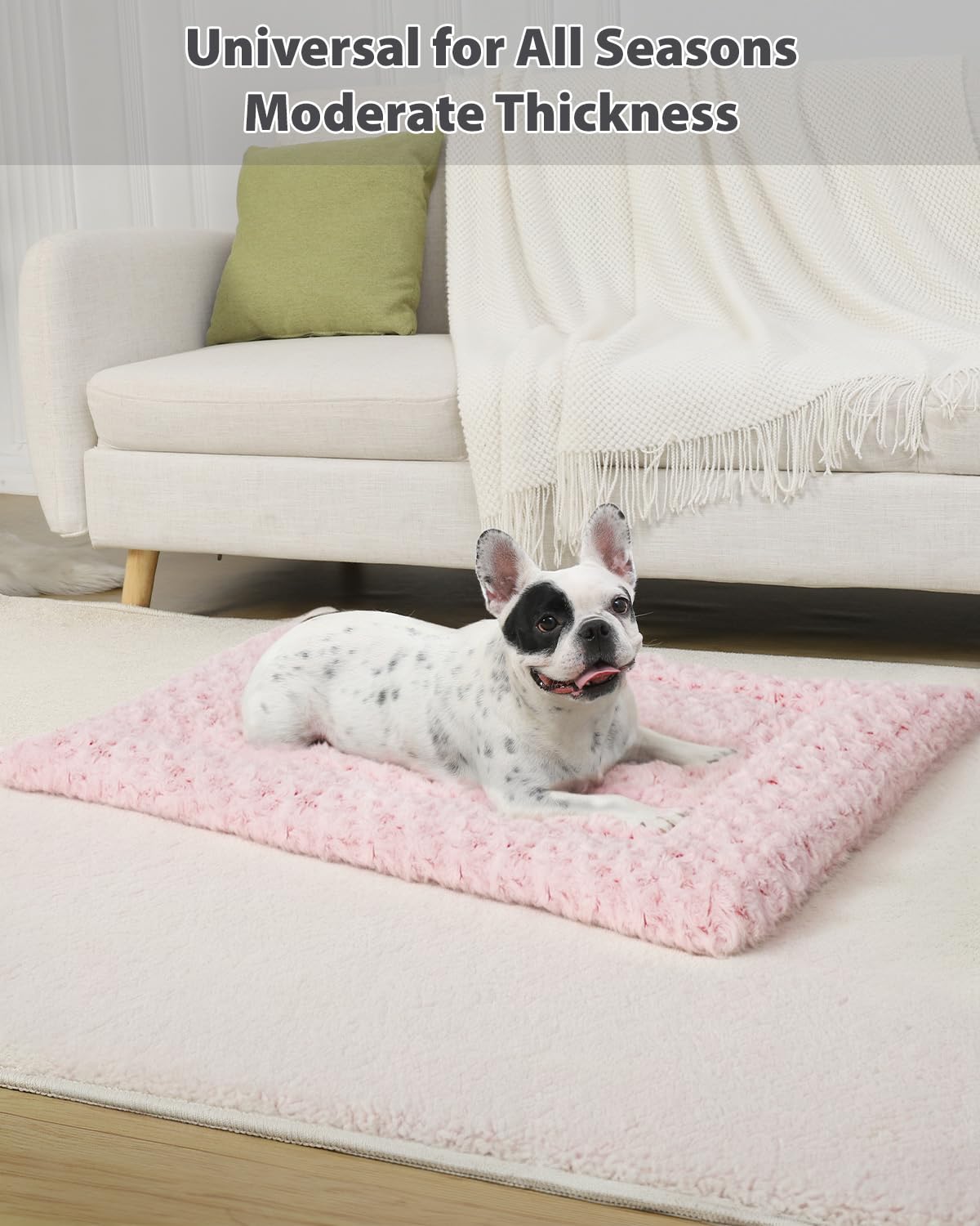 Exsnugy Washable Plush Dog Bed Mat - L (35x22x1.5 inches) - Pink, Reversible, Machine Washable Crate Pad