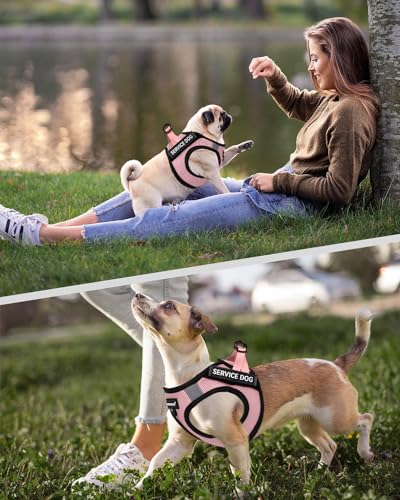 FAYOGOO Lightweight Service Dog Vest & Leash Set for Small to Medium Dogs with 6 Removable Patches