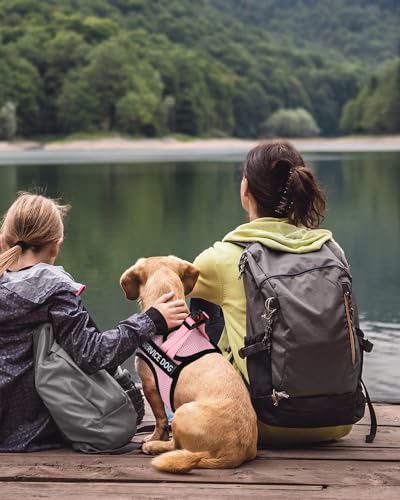 FAYOGOO Lightweight Service Dog Vest & Leash Set for Small to Medium Dogs with 6 Removable Patches