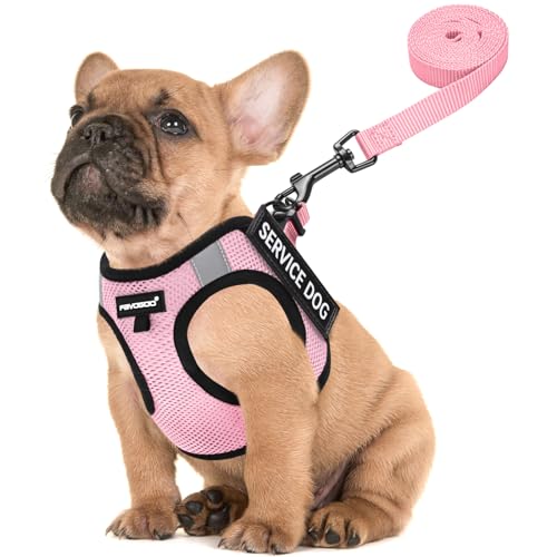 FAYOGOO Lightweight Service Dog Vest & Leash Set for Small to Medium Dogs with 6 Removable Patches