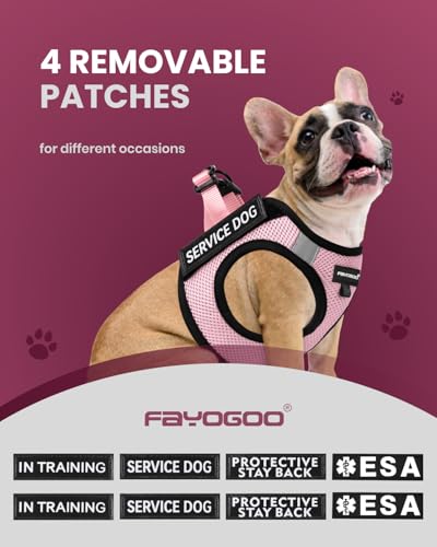 FAYOGOO Lightweight Service Dog Vest & Leash Set for Small to Medium Dogs with 6 Removable Patches
