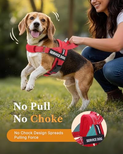 FAYOGOO Service Dog Vest – Escape-Proof, Lightweight No-Pull Harness with Adjustable Chest Strap for Small to Large Dogs