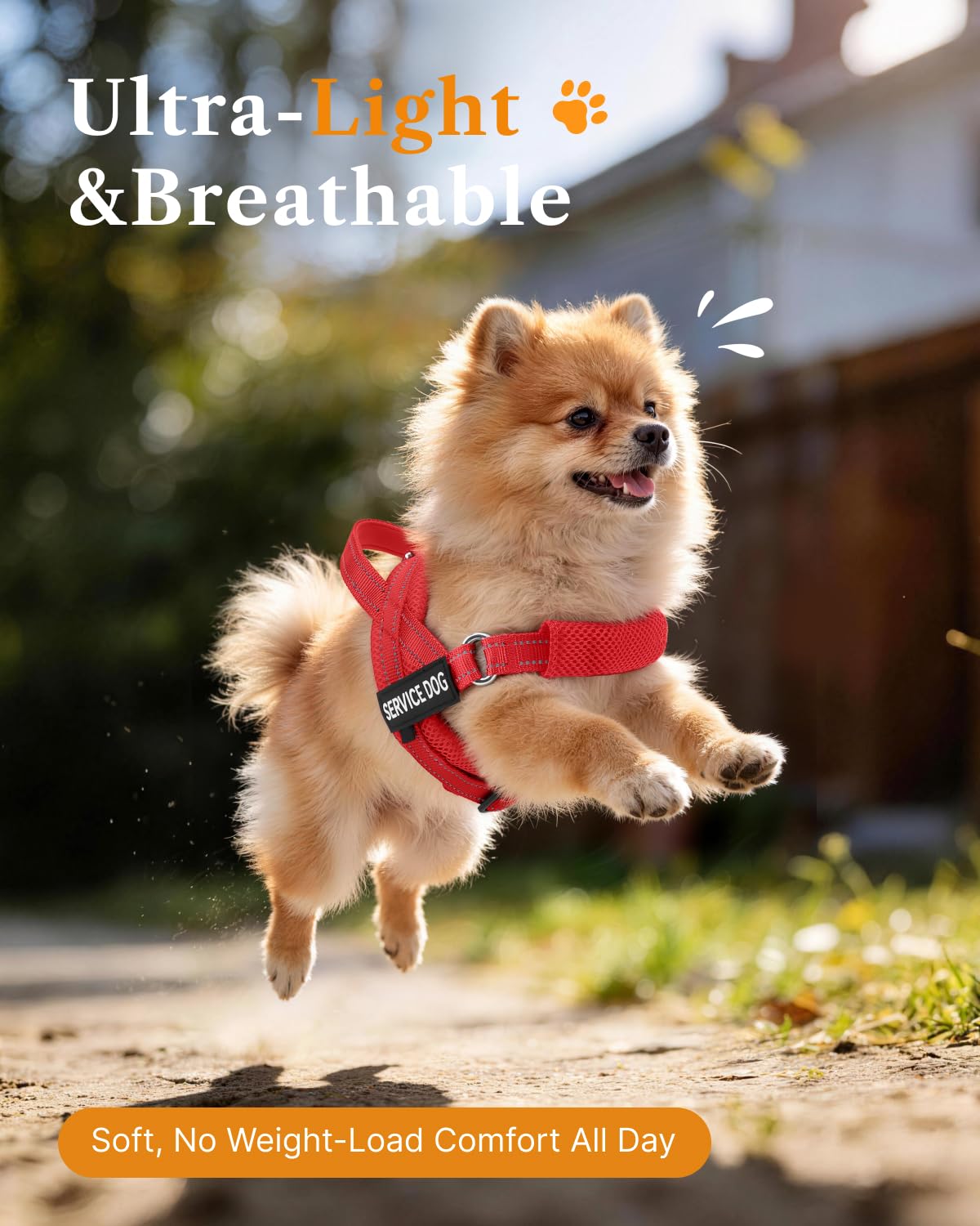 FAYOGOO Service Dog Vest – Escape-Proof, Lightweight No-Pull Harness with Adjustable Chest Strap for Small to Large Dogs