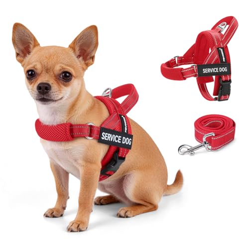 FAYOGOO Service Dog Vest – Escape-Proof, Lightweight No-Pull Harness with Adjustable Chest Strap for Small to Large Dogs