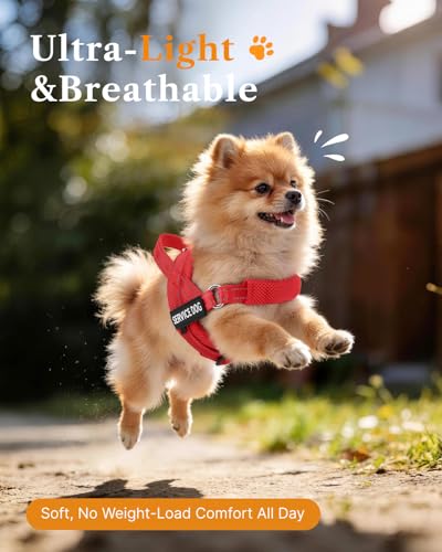 FAYOGOO Service Dog Vest – Escape-Proof, Lightweight No-Pull Harness with Adjustable Chest Strap for Small to Large Dogs