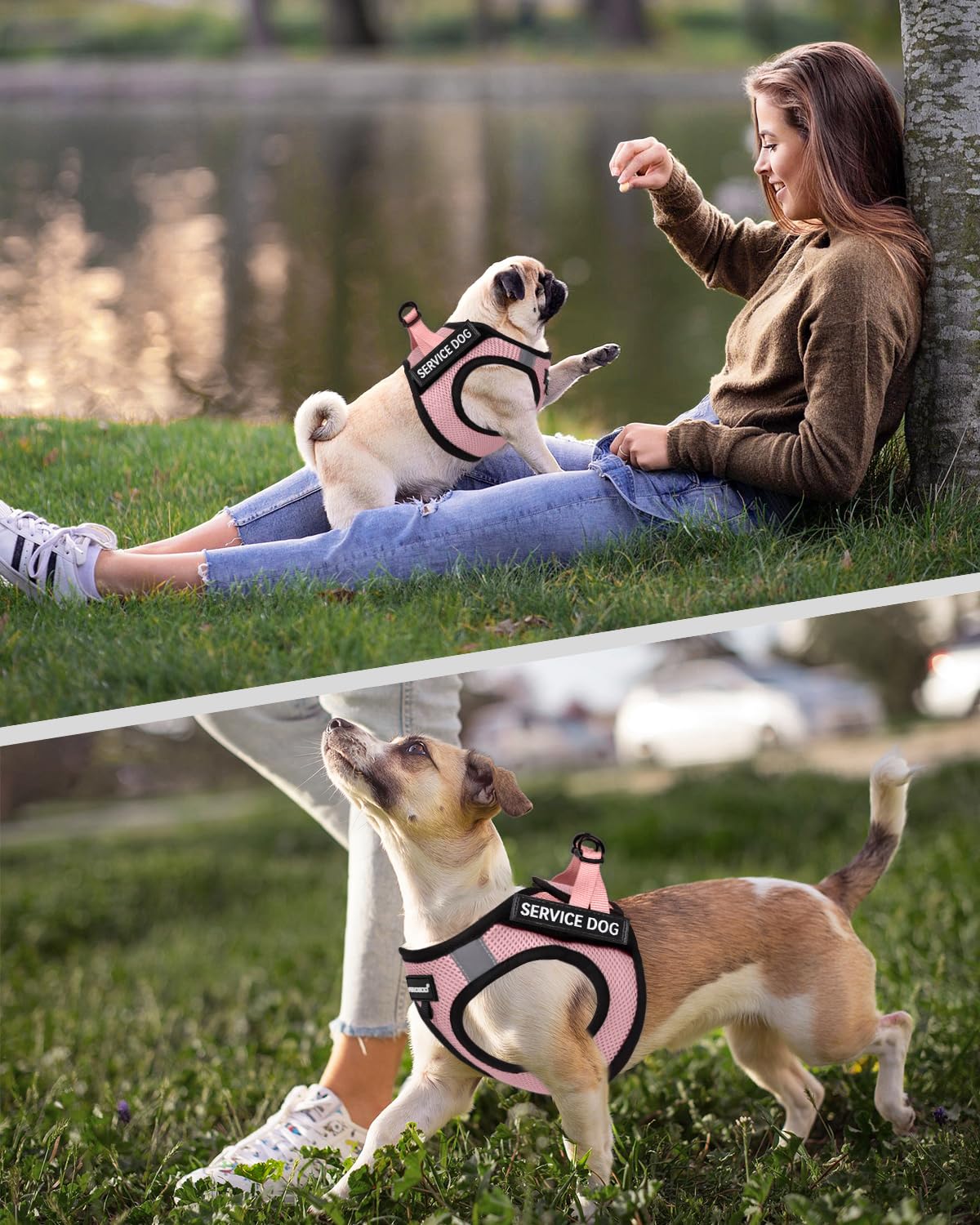 FAYOGOO Service Dog Vest for Small Breeds - Lightweight Mesh Harness with Reflective Strips and 6 Removable Patches