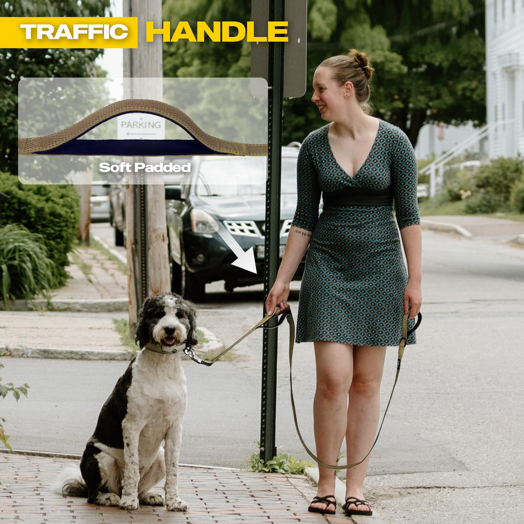 Fida 4 ft Heavy Duty Dog Leash with Padded Handles and Reflective Threads - Brown