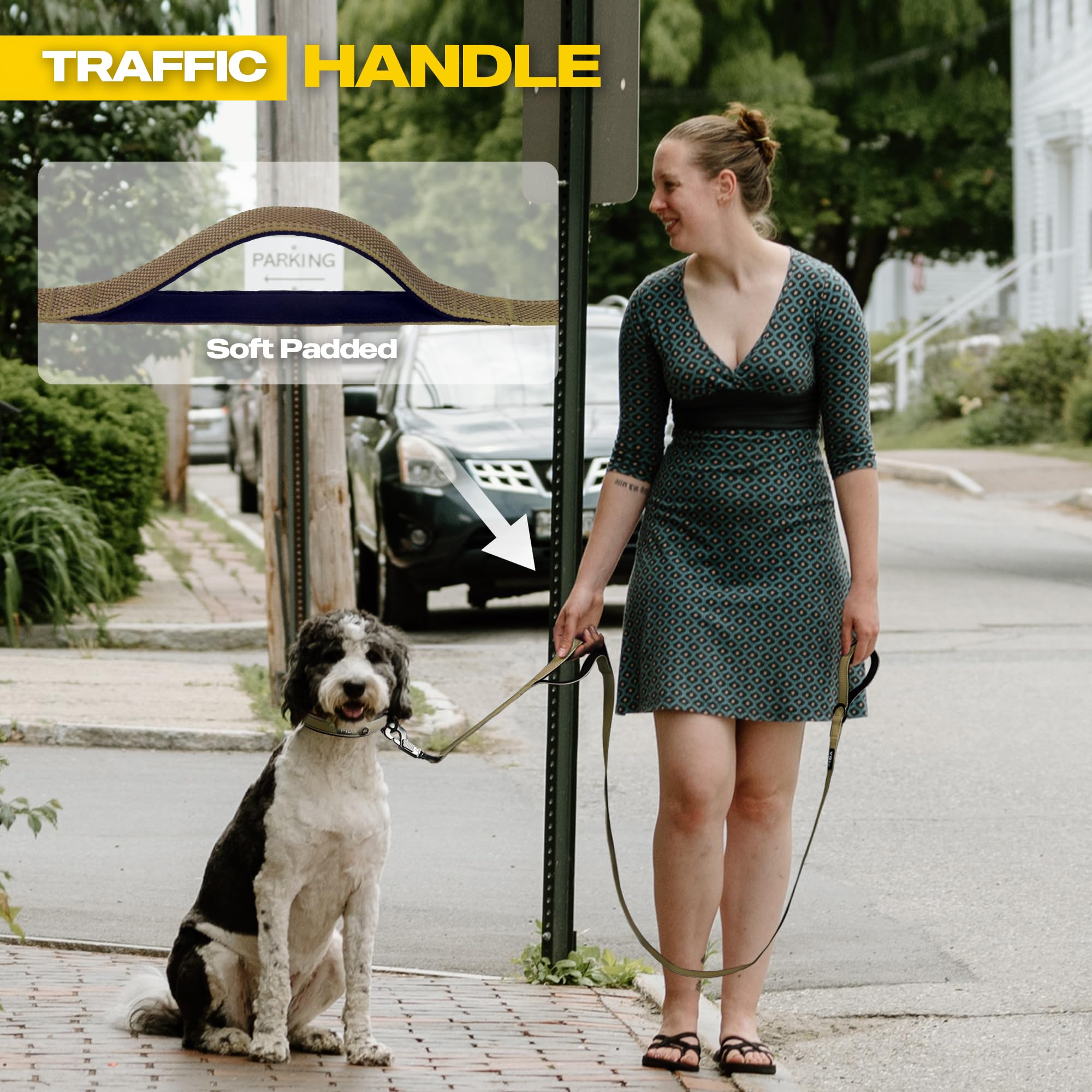 Fida 4 ft Heavy Duty Dog Leash with Padded Handles and Reflective Threads - Brown