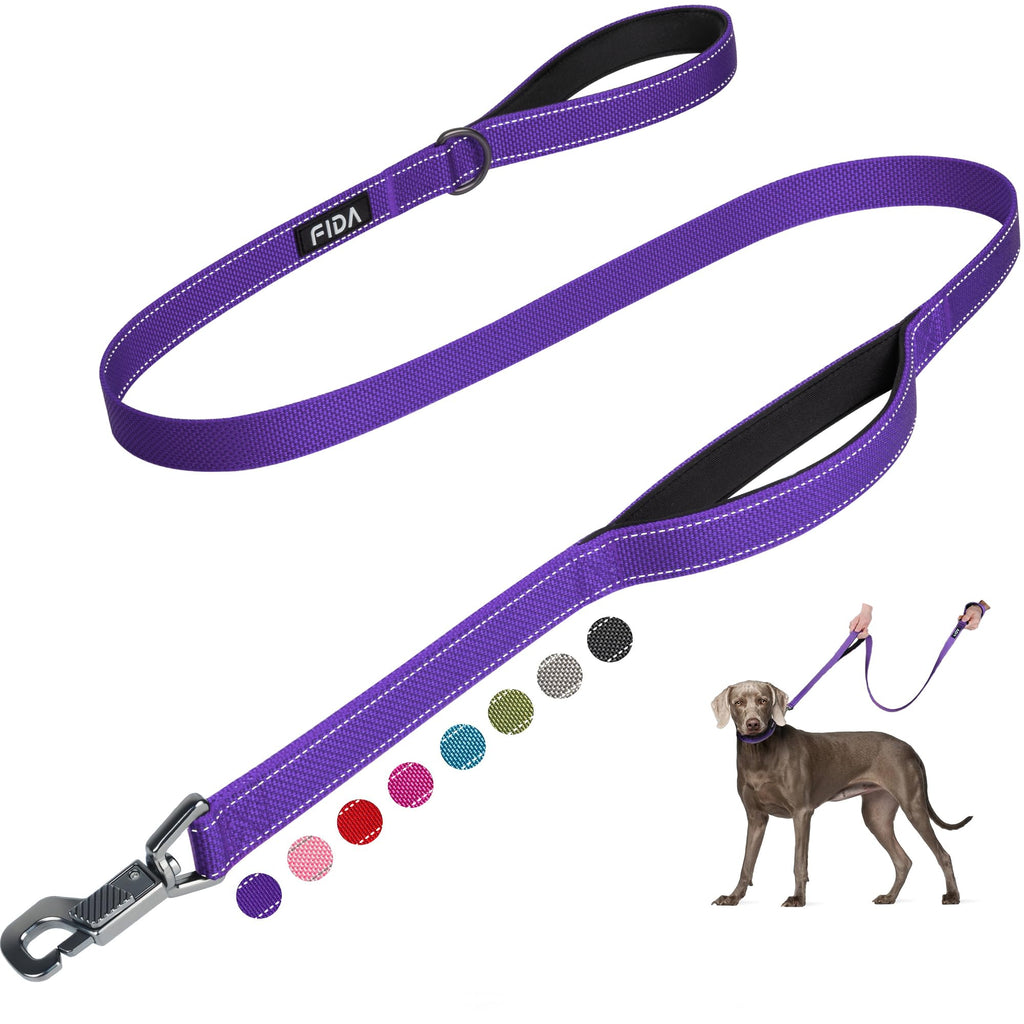 Fida 5-Foot Heavy Duty Dog Leash with Padded Handles, Traffic Handle & Reflective Threads - Purple