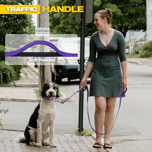 Fida 5-Foot Heavy Duty Dog Leash with Padded Handles, Traffic Handle & Reflective Threads - Purple
