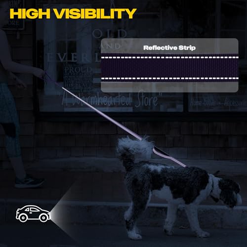 Fida 5-Foot Heavy Duty Dog Leash with Padded Handles, Traffic Handle & Reflective Threads - Purple