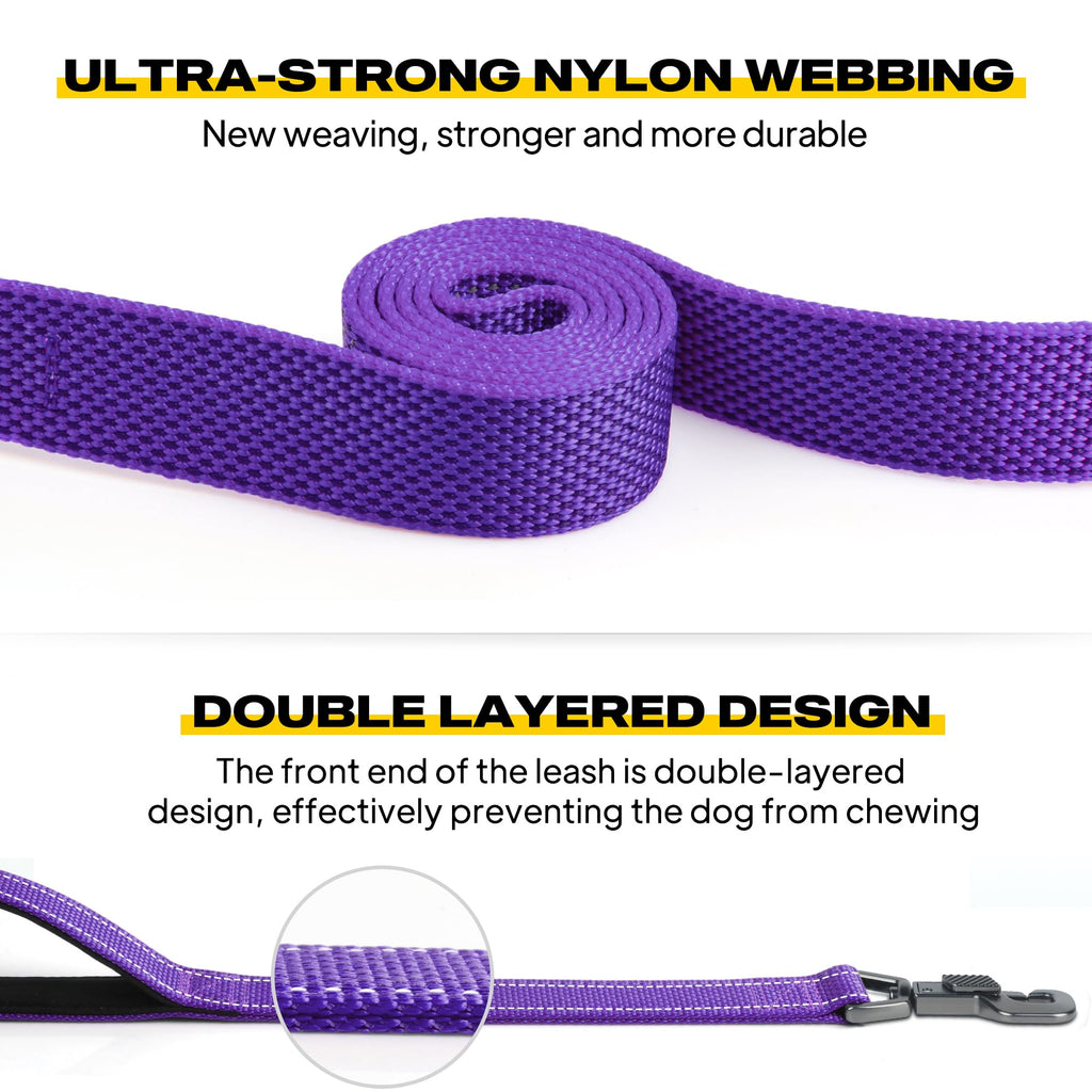 Fida 5-Foot Heavy Duty Dog Leash with Padded Handles, Traffic Handle & Reflective Threads - Purple