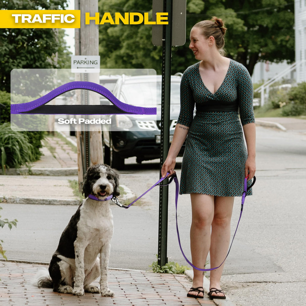 Fida 5-Foot Heavy Duty Dog Leash with Padded Handles, Traffic Handle & Reflective Threads - Purple