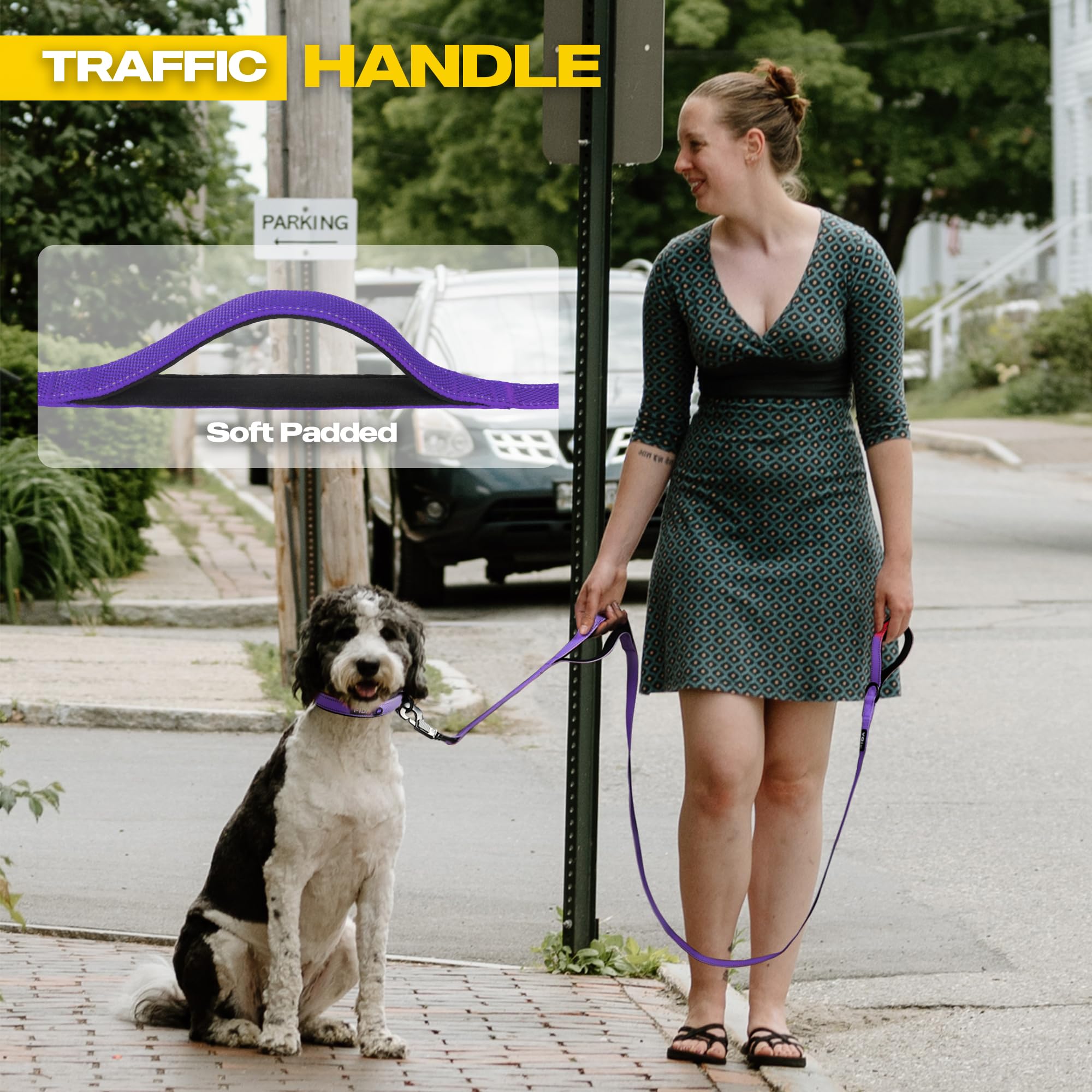 Fida 5-Foot Heavy Duty Dog Leash with Padded Handles, Traffic Handle & Reflective Threads - Purple
